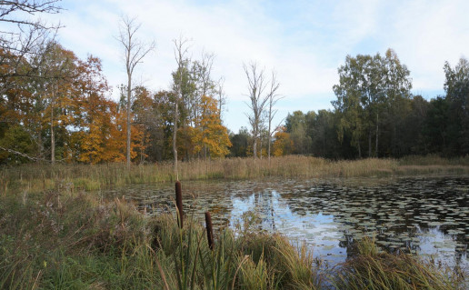 12_Tytuvėnų dvaro vandens telkiniai3.jpg